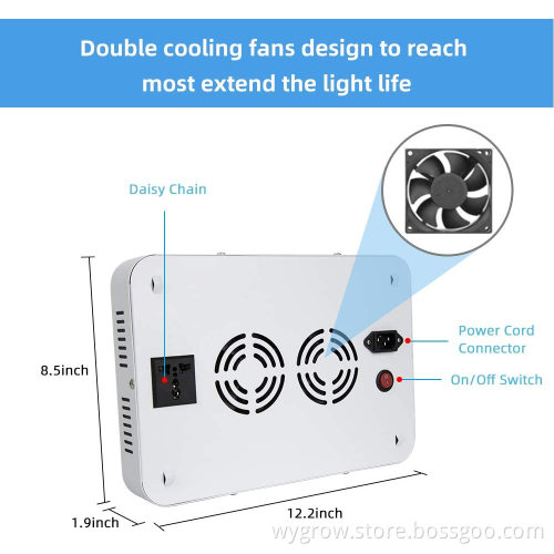 600W Grow Light Red Blue Lighting